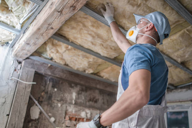 Best Insulation Materials and Products in Chelsea, AL